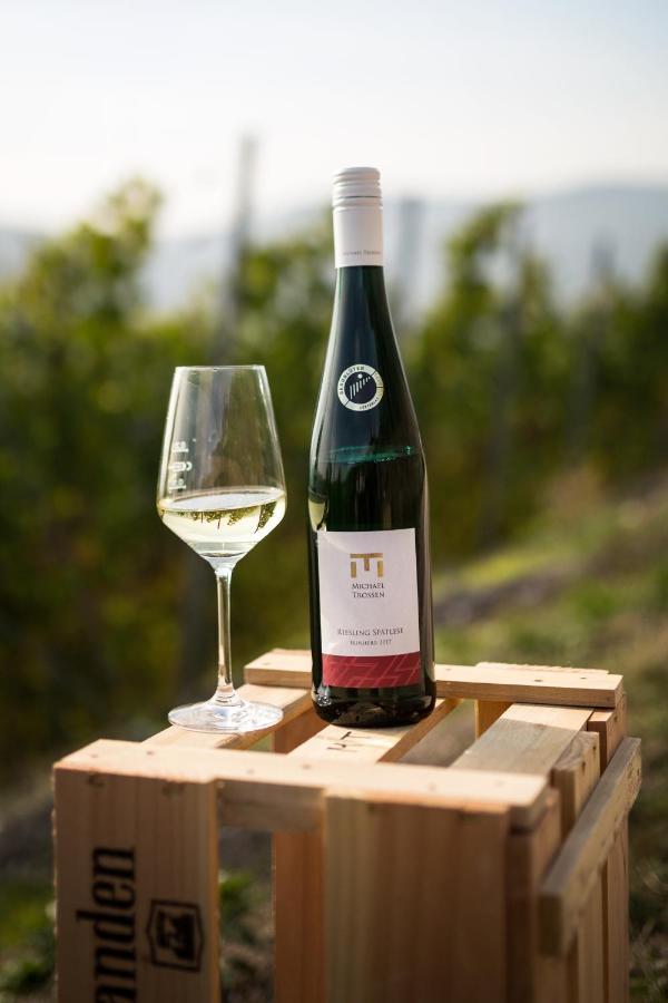 Rieslingquartier - Mosel Wein Hotel Kröv Εξωτερικό φωτογραφία